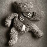 Gescheurde teddybeer